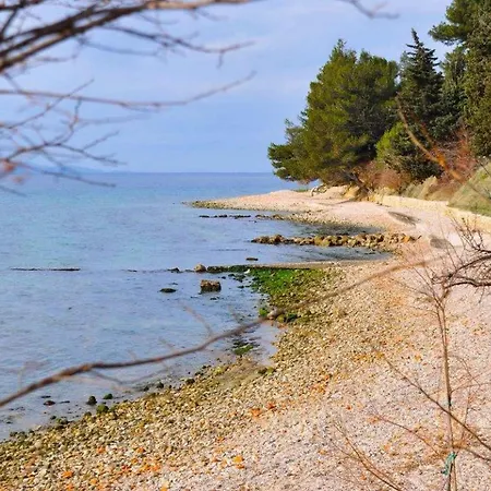 Angela - 아파트 *