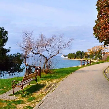 Angela - アパート *