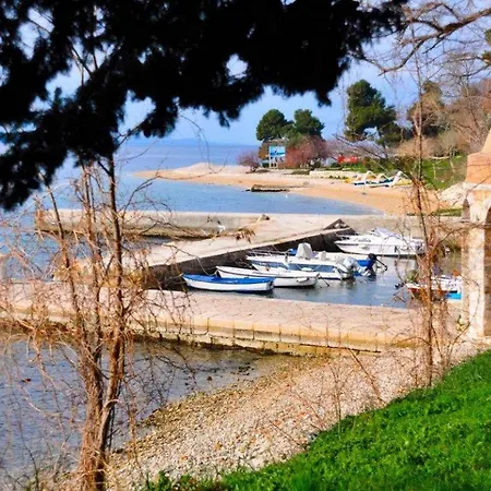 Angela - * Zadar