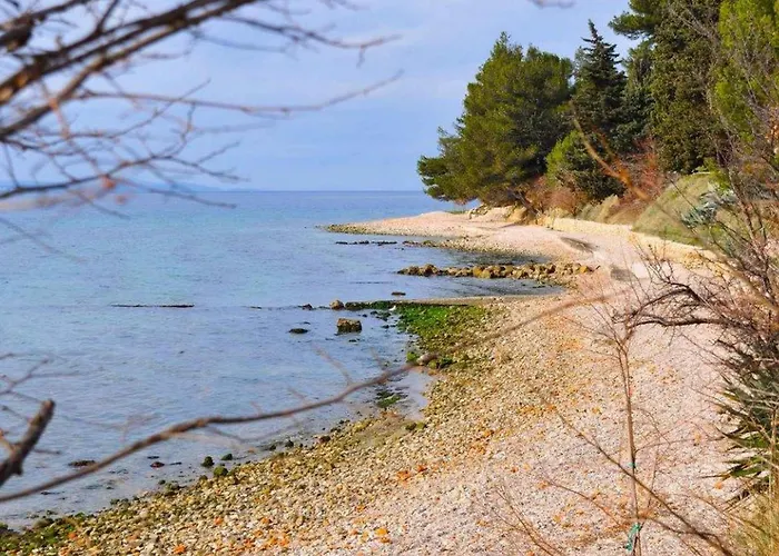 Angela - Appartamento *